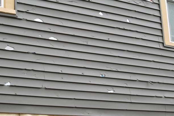 Best Custom Siding Design  in Panther Valley, NJ