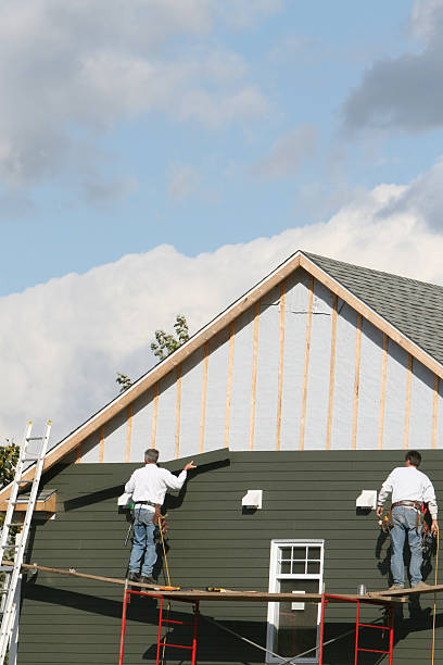 Best Aluminum Siding Installation  in Panther Valley, NJ